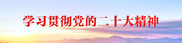 學習貫徹黨的二十大精神